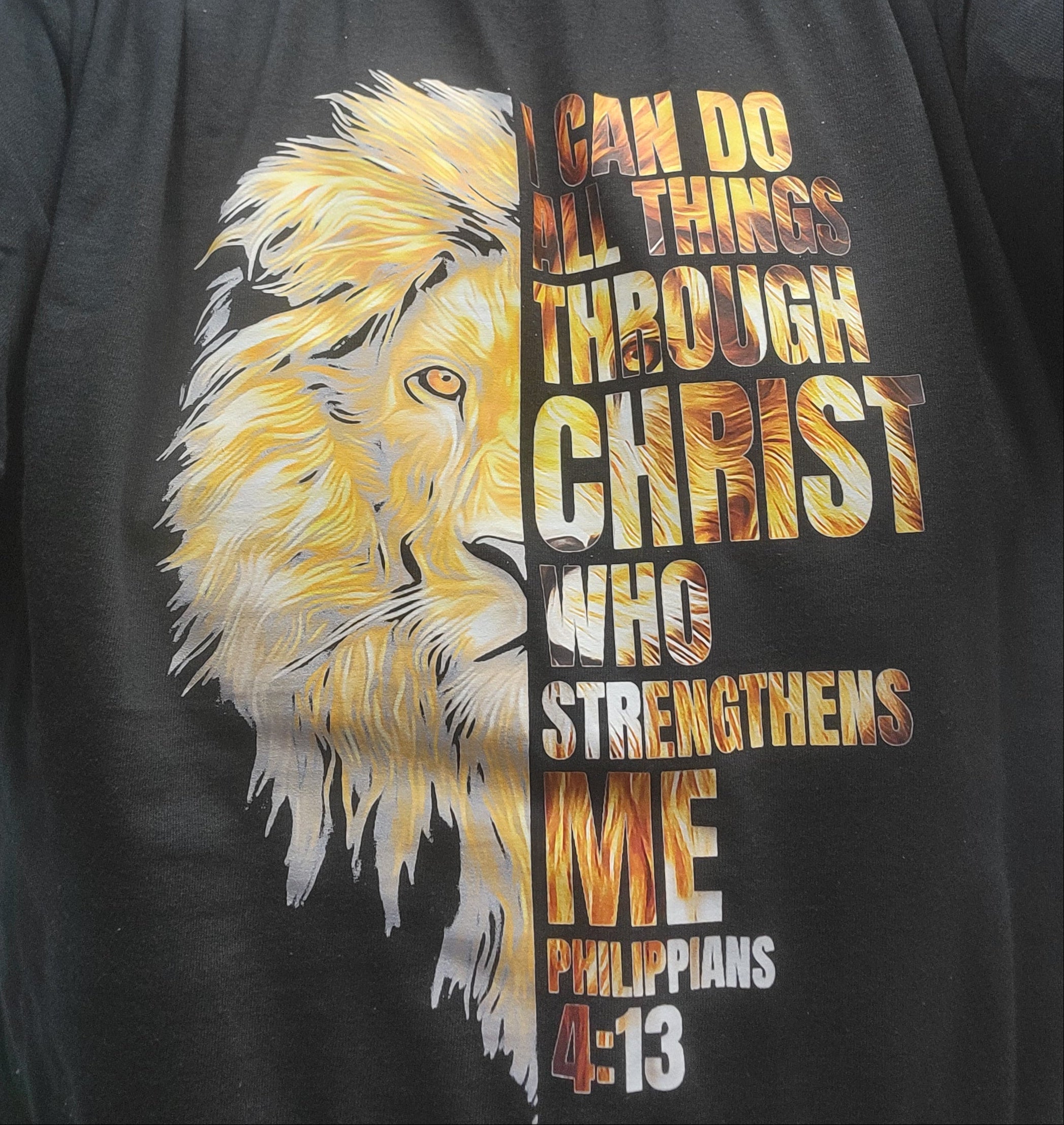 Black t-shirt with a lion graphic and inspirational text on a dark background